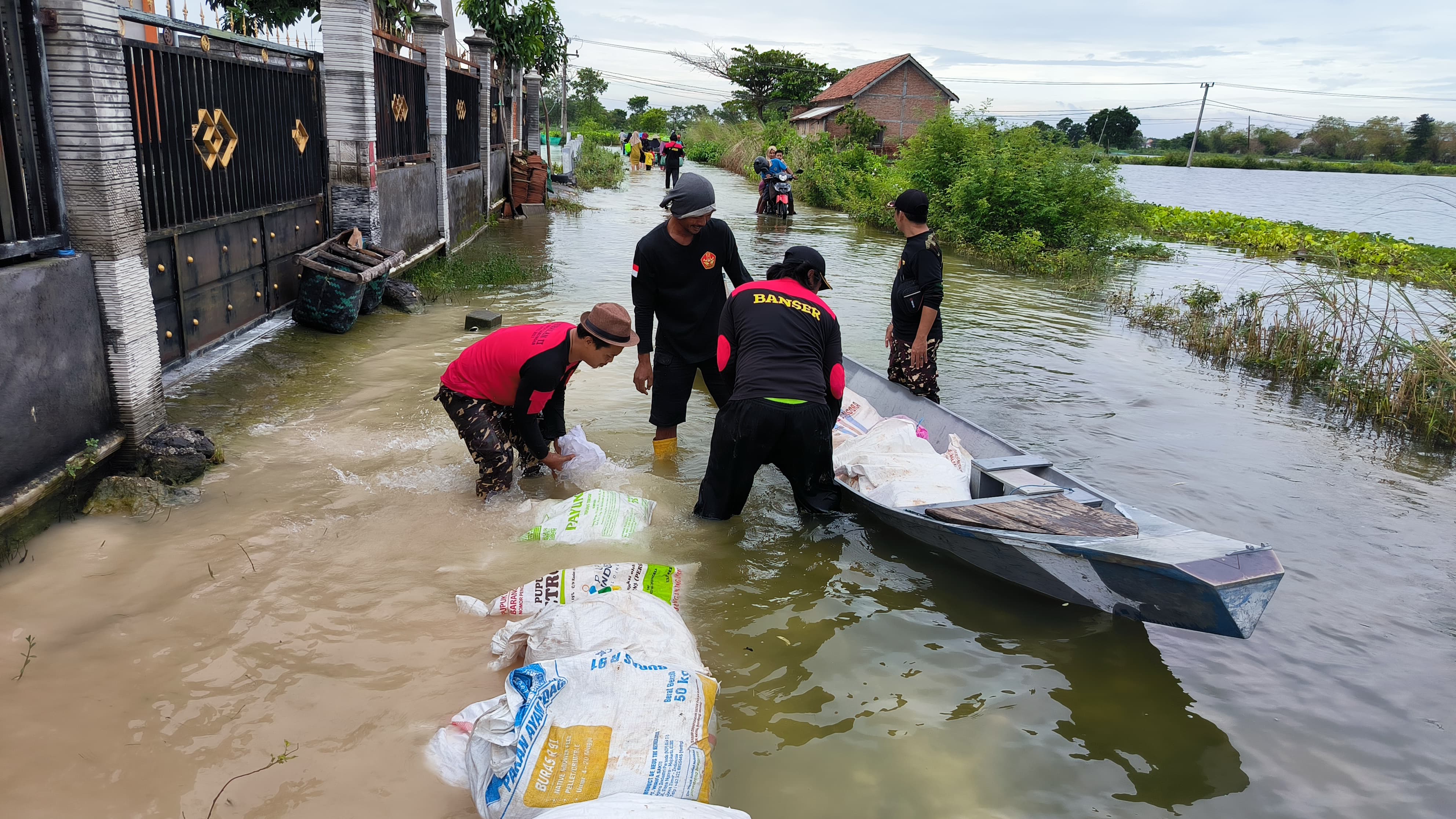 Gerakan Pemuda Ansor Kalitengah Bangun Jalan Darurat di Tengah Banjir Lamongan